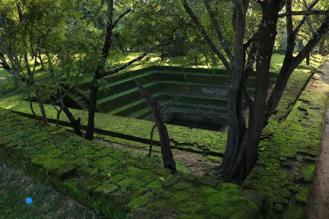 פולונרואה River Nature Park מראה חיצוני תמונה
