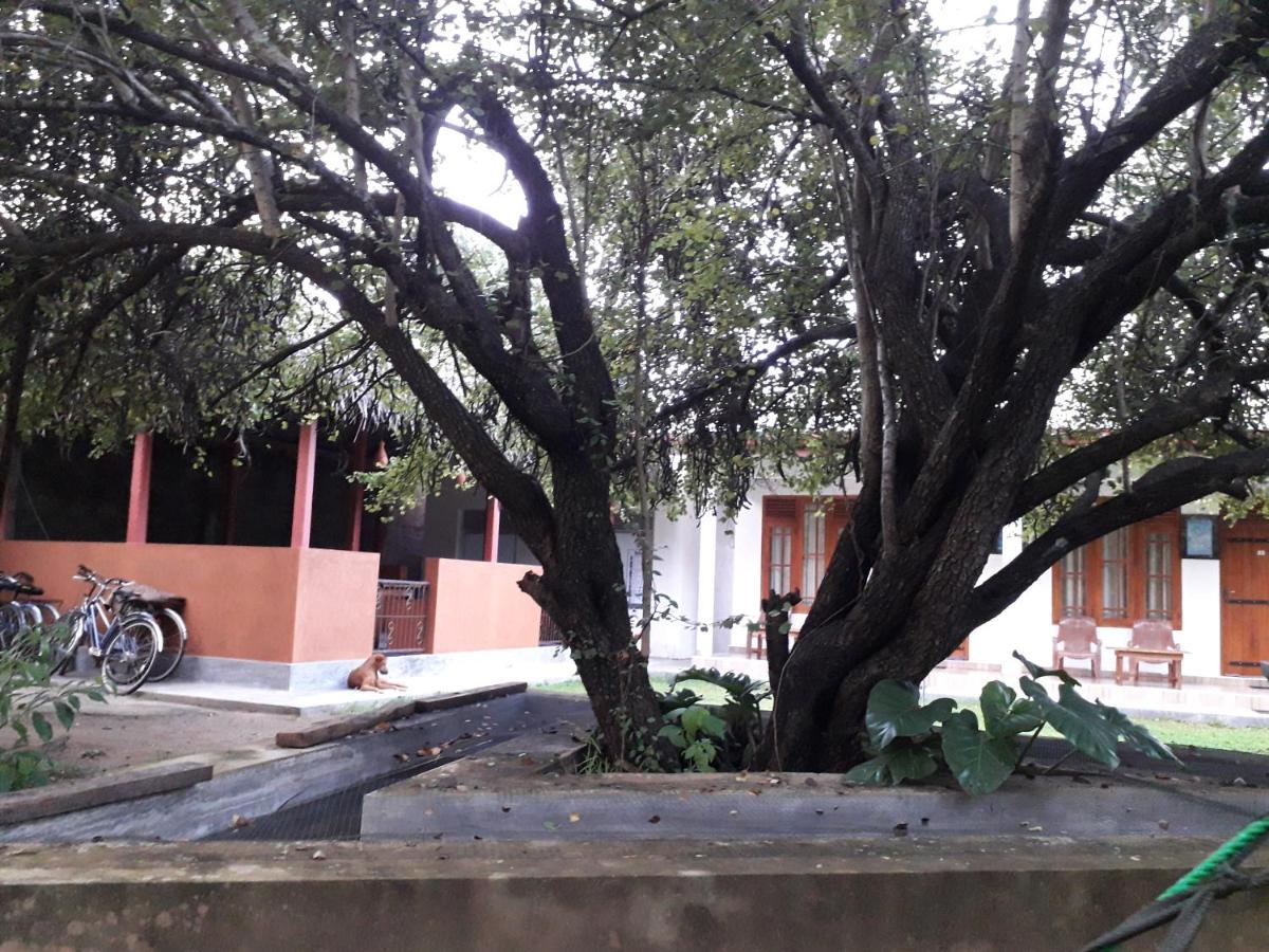 פולונרואה River Nature Park מראה חיצוני תמונה